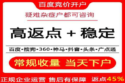 百度竞价赚钱的技巧与成功案例探讨